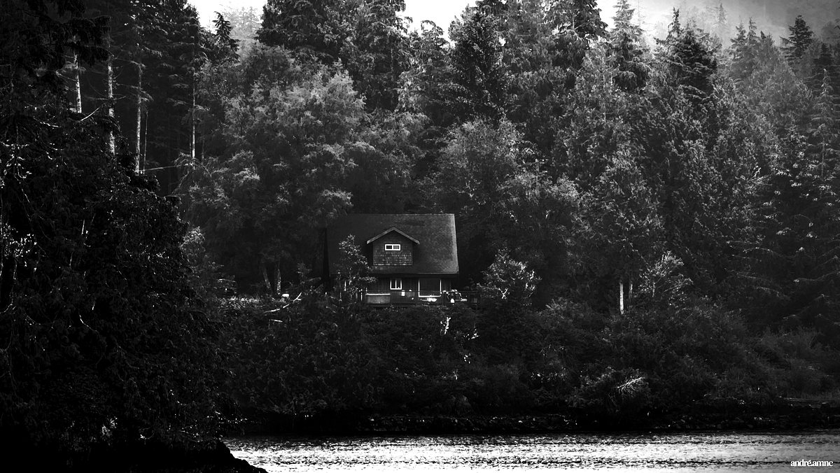 A cabin in a dark forest above the water